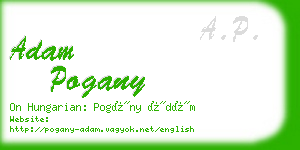 adam pogany business card